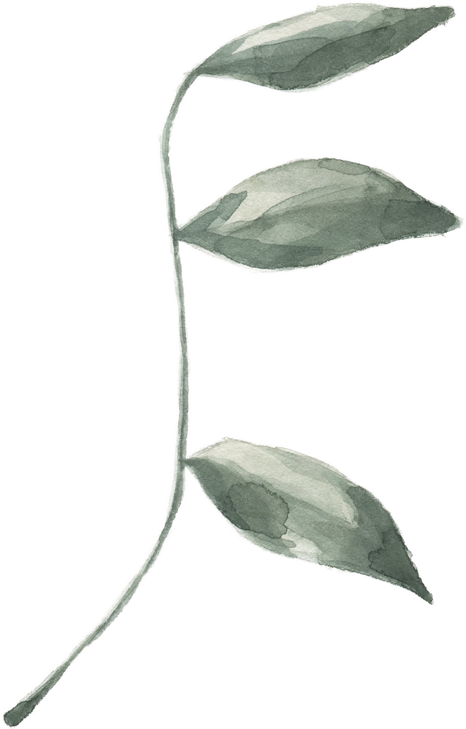 Modern oasis leaf